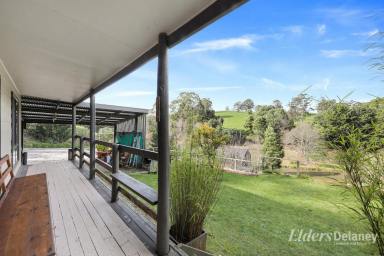 Other (Rural) For Sale - VIC - Neerim South - 3831 - Vendor Finance Available - Farm, Fish, Hunt, Admire - A property with options!  (Image 2)