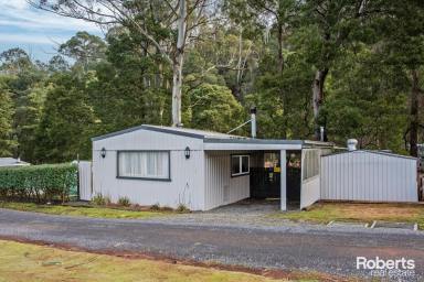 Lifestyle For Sale - TAS - Gunns Plains - 7315 - CREEKSIDE SERENITY AWAITS  (Image 2)