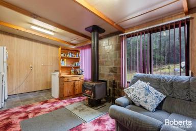 Lifestyle Sold - TAS - Gunns Plains - 7315 - Cosy Parkside Retreat  (Image 2)