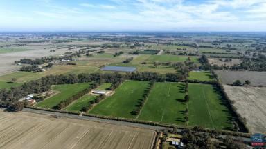 Farmlet Sold - VIC - Congupna - 3633 - This one is hard to beat!  (Image 2)