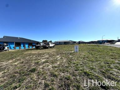 Residential Block Sold - NSW - Inverell - 2360 - SOLD BY LJ HOOKER INVERELL  (Image 2)