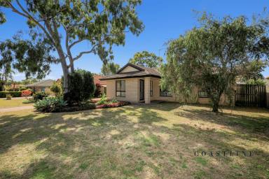 House Sold - QLD - Bargara - 4670 - Brick & Tile Central Bargara  (Image 2)