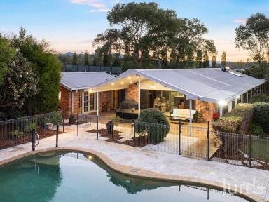 Lifestyle For Sale - NSW - Quorrobolong - 2325 - A COUNTRY DELIGHT - HIGHLY MOTIVATED VENORS  (Image 2)