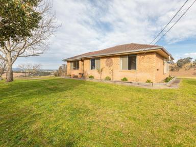 House Sold - NSW - Bega - 2550 - 40 ACRES - SO CLOSE TO TOWN  (Image 2)