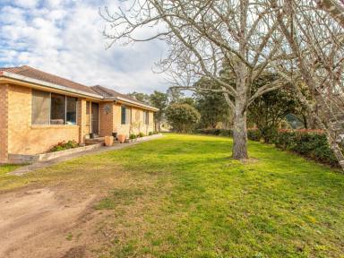 House Sold - NSW - Bega - 2550 - 40 ACRES - SO CLOSE TO TOWN  (Image 2)