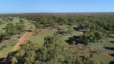 Mixed Farming For Sale - NSW - Cobar - 2835 - Karoo  (Image 2)