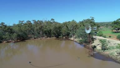 Mixed Farming For Sale - NSW - Cobar - 2835 - Karoo  (Image 2)