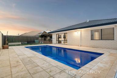 House Sold - WA - Carramar - 6031 - LIGHT, BRIGHT & HOMELY  (Image 2)