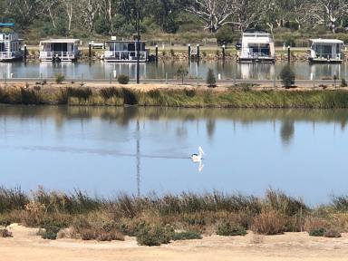 Residential Block For Sale - SA - Mannum - 5238 - NEW LAND RELEASE IN MANNUM WATERS  (Image 2)