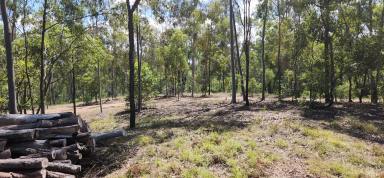 Residential Block For Sale - QLD - St Kilda - 4671 - Thirty Acre Bush Block in a Great Area  (Image 2)