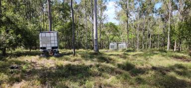 Residential Block For Sale - QLD - St Kilda - 4671 - Thirty Acre Bush Block in a Great Area  (Image 2)