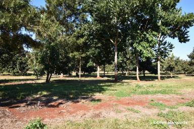 Cropping For Sale - QLD - North Isis - 4660 - Starter Farm or Lifestyle Block!  (Image 2)