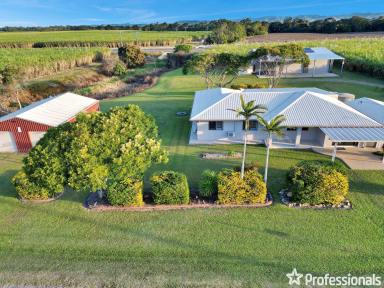 Acreage/Semi-rural Sold - QLD - Te Kowai - 4740 - Beautifully Renovated Acreage!  (Image 2)