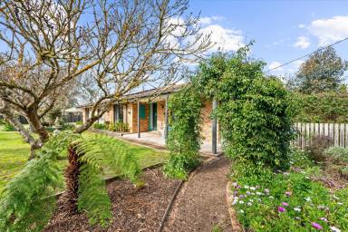 House Sold - VIC - Rosedale - 3847 - Corner block property with serenity  (Image 2)