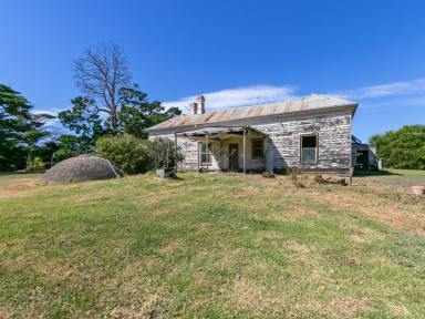 Farmlet Sold - VIC - Rosedale - 3847 - Renovators dream with decades of history!  (Image 2)