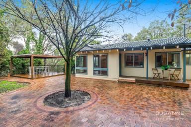 House Sold - WA - Lesmurdie - 6076 - Enchanting Falls Road Home Surrounded by Natural Beauty  (Image 2)