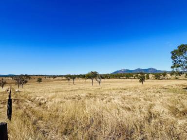 Livestock For Sale - QLD - Biggenden - 4621 - PRIME RURAL BLOCK, PERFECT TO BUILD YOUR DREAM HOME!  (Image 2)