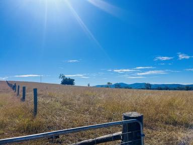 Livestock For Sale - QLD - Biggenden - 4621 - PRIME RURAL BLOCK, PERFECT TO BUILD YOUR DREAM HOME!  (Image 2)