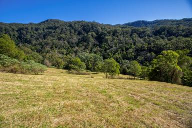 Lifestyle Sold - NSW - Jamberoo - 2533 - 'Wandearah'  (Image 2)