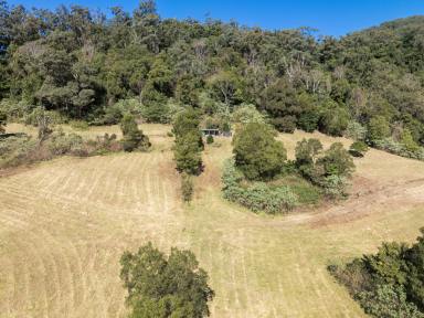 Lifestyle Sold - NSW - Jamberoo - 2533 - 'Wandearah'  (Image 2)