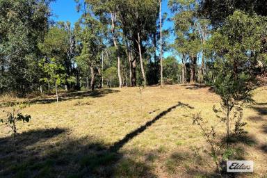 Residential Block For Sale - QLD - Jones Hill - 4570 - Lot 4 McIntosh Creek Rd, Jones Hill - Your Perfect Elevated Retreat Close to Town  (Image 2)