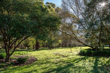 House Sold - VIC - Hamilton - 3300 - Brick house with subdivision potential  (Image 2)