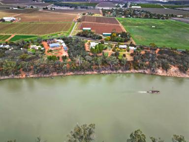 Residential Block For Sale - VIC - Robinvale - 3549 - Prime Riverfront Opportunity  (Image 2)