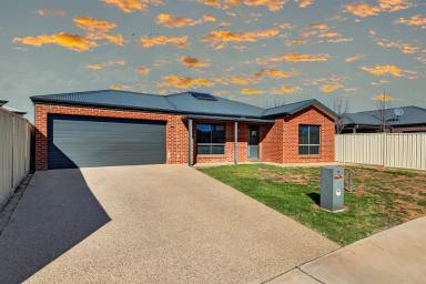 House Sold - VIC - Mildura - 3500 - Modern Mildura Lifestyle  (Image 2)