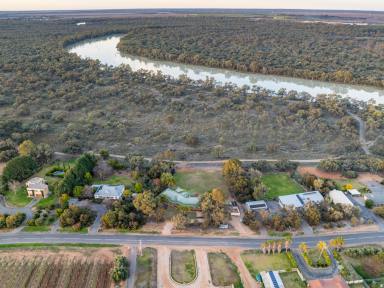 House For Sale - VIC - Nichols Point - 3501 - Tranquil Views over King's Billabong Park  (Image 2)