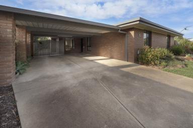 House Sold - VIC - Swan Hill - 3585 - Peaceful Setting , Strong Home.  (Image 2)