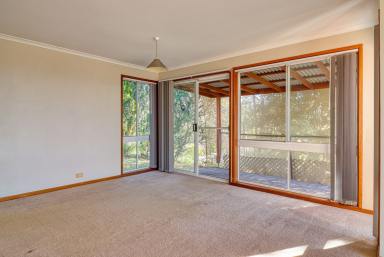 House Leased - NSW - Goonellabah - 2480 - Low-Maintenance Home in Quiet Area  (Image 2)