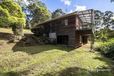 Acreage/Semi-rural For Sale - QLD - Reesville - 4552 - Unique Opportunity in the Maleny Hinterland  (Image 2)