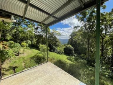 Acreage/Semi-rural For Sale - QLD - Reesville - 4552 - Unique Opportunity in the Maleny Hinterland  (Image 2)