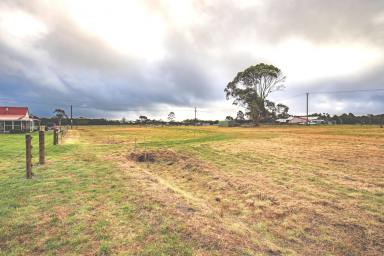 House Sold - TAS - Smithton - 7330 - Charming Cottage in Smithton - 16 Leesville Road  (Image 2)