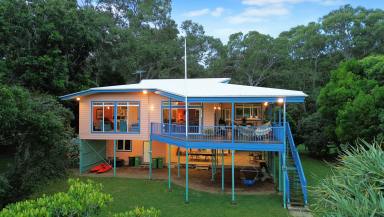 House For Sale - QLD - Macleay Island - 4184 - Absolute Water Front - Not just a house.  Its a Lifestyle  (Image 2)