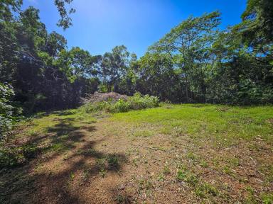 Residential Block Sold - QLD - Cooktown - 4895 - Terraced Terrain With Multiple Build Sites  (Image 2)