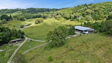 Lifestyle For Sale - QLD - Julatten - 4871 - 680m2 SHED, 2 ELEVATED HOUSES + DA FOR 10 COTTAGES  (Image 2)