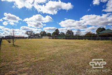 Residential Block For Sale - NSW - Deepwater - 2371 - Prime block of land in beautiful quiet village  (Image 2)