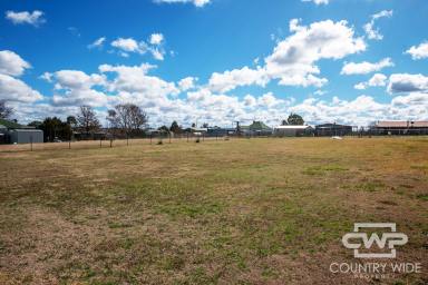 Residential Block For Sale - NSW - Deepwater - 2371 - Prime block of land in beautiful quiet village  (Image 2)