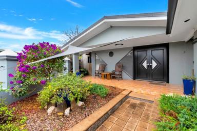 House Sold - QLD - Gordonvale - 4865 - A Home with a Difference - Many Extras  (Image 2)