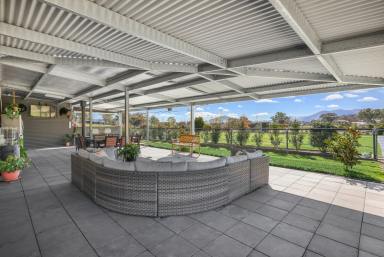 Lifestyle Sold - NSW - Nundle - 2340 - ENTERTAINMENT, SPACE & LIFESTYLE  (Image 2)