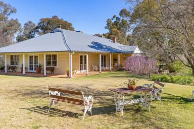 Mixed Farming For Sale - NSW - Greenethorpe - 2809 - Award Winning Mixed Farming Opportunity  (Image 2)