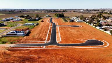 Residential Block Sold - VIC - Irymple - 3498 - Titled Allotment in Irymple Park Estate  (Image 2)