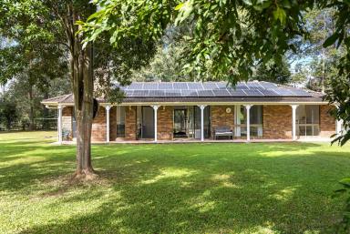 House Sold - QLD - Tandur - 4570 - Usable 29.57 acres with renovated home plus studio  (Image 2)