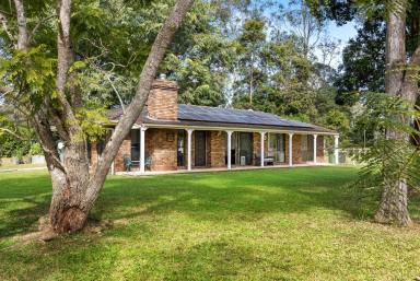 House Sold - QLD - Tandur - 4570 - Usable 29.57 acres with renovated home plus studio  (Image 2)