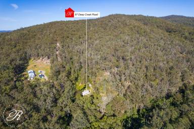 Acreage/Semi-rural For Sale - NSW - Markwell - 2423 - A unique offering on 127 acres of pristine natural bushland  (Image 2)