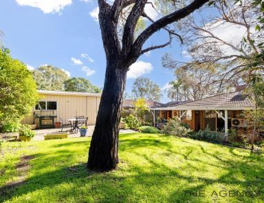 House Sold - WA - Yangebup - 6164 - Charming 3x2 Retreat with Powered Workshop in Yangebup  (Image 2)