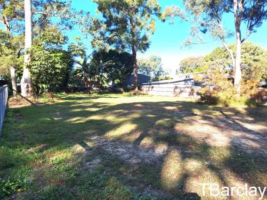 Residential Block For Sale - QLD - Macleay Island - 4184 - Privacy with this block  (Image 2)