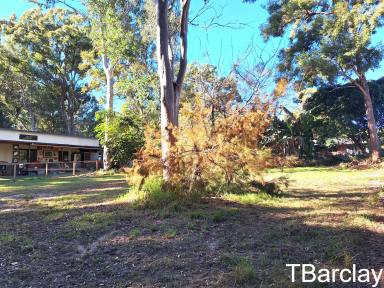 Residential Block For Sale - QLD - Macleay Island - 4184 - Privacy with this block  (Image 2)