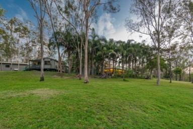 Acreage/Semi-rural Sold - QLD - South Bingera - 4670 - Hideaway Haven Bed & Breakfast - Tranquil Retreat  (Image 2)
